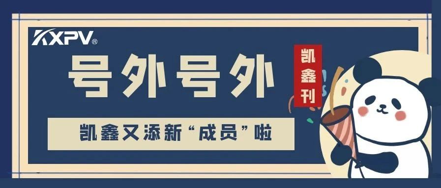 【凱鑫刊-第三期】凱鑫步入發(fā)展新征程，開(kāi)啟發(fā)展新篇章